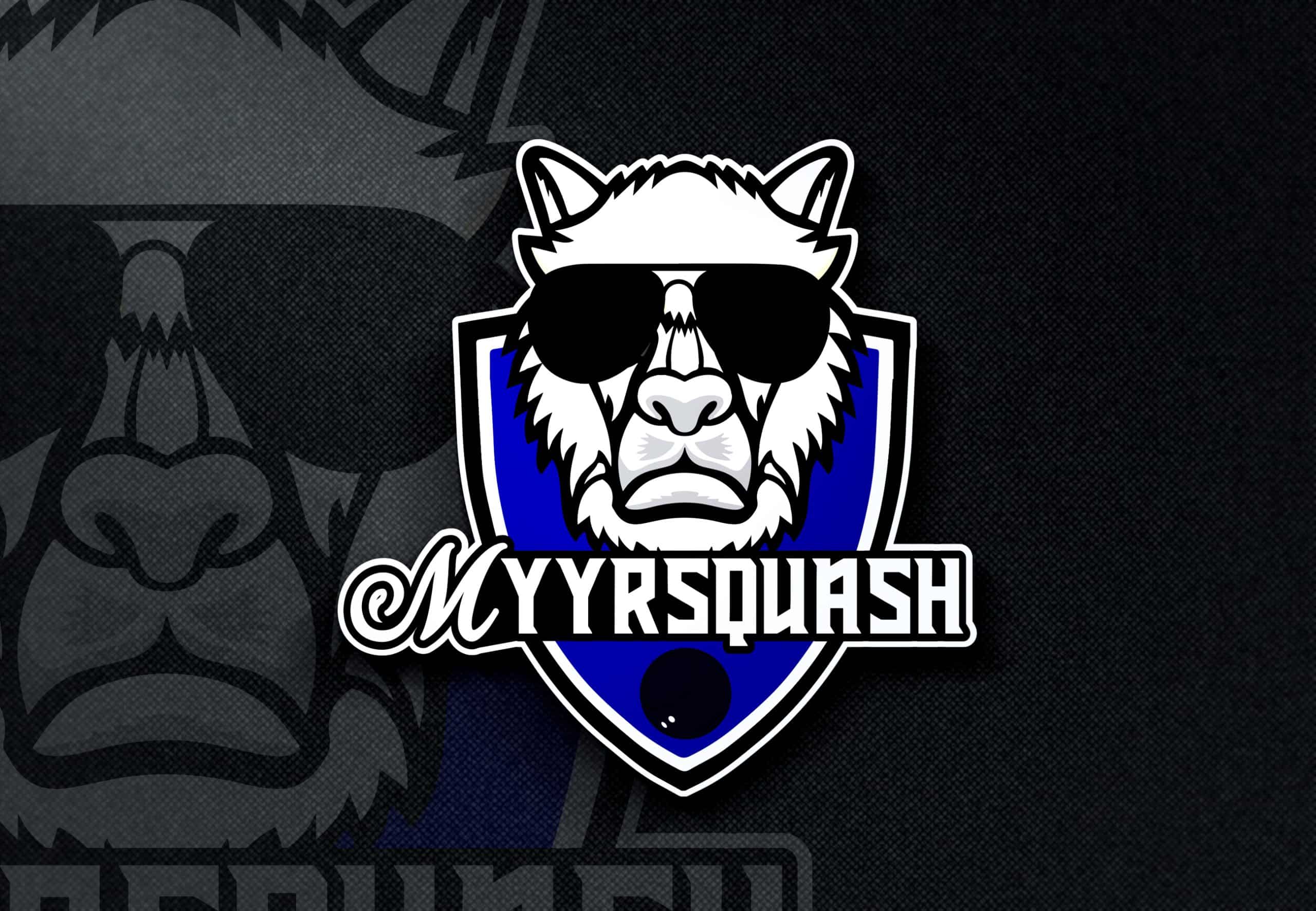 Read more about the article MyyrSquashista edustusta Suomen Squashliiton hallitukseen